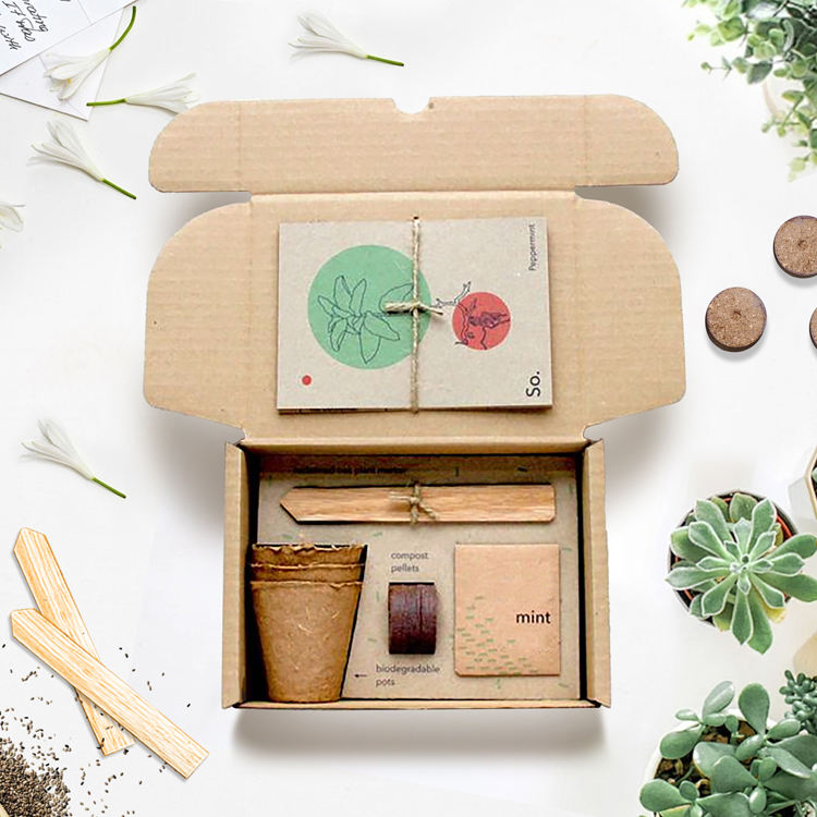 Environmentally friendly plant growth kit gardening gift set for bees to easily grow their own flowers