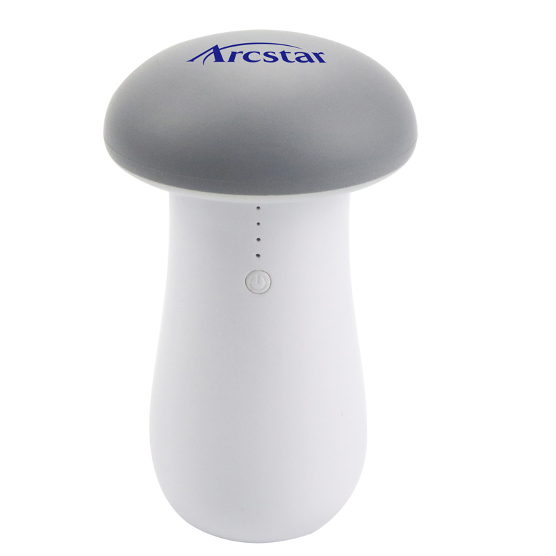 Mushroom lamp mobile power supply