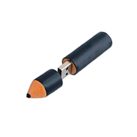 Wooden pen U-disk