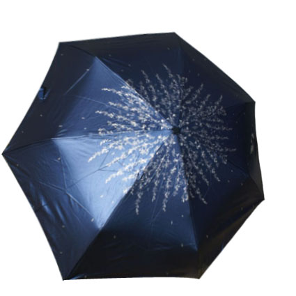 Three fold clear umbrella