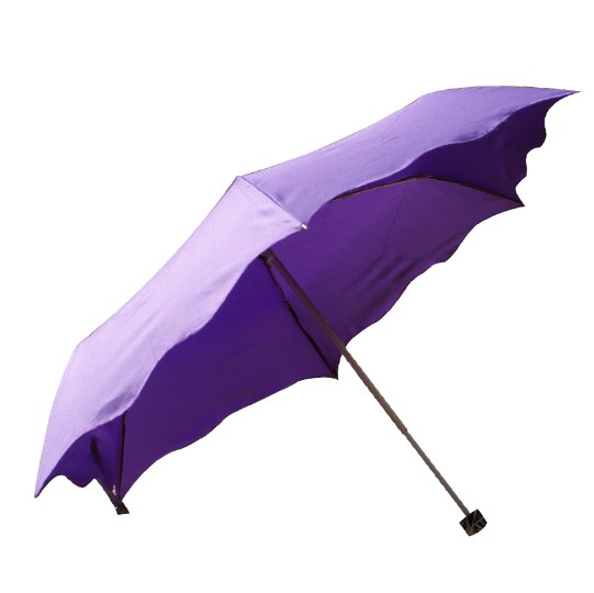 Five fold clear umbrella