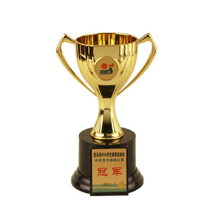 Metal Student Trophy Small Trophy