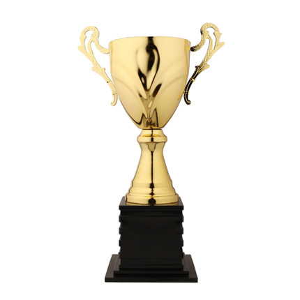 Metal trophy