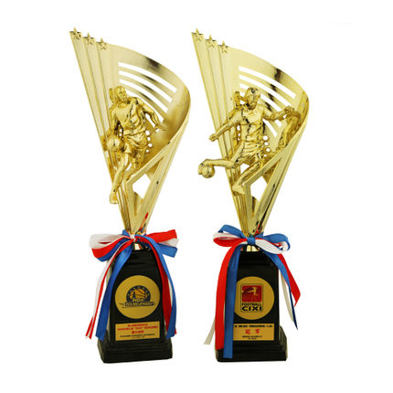 Football Basketball Championship Trophy