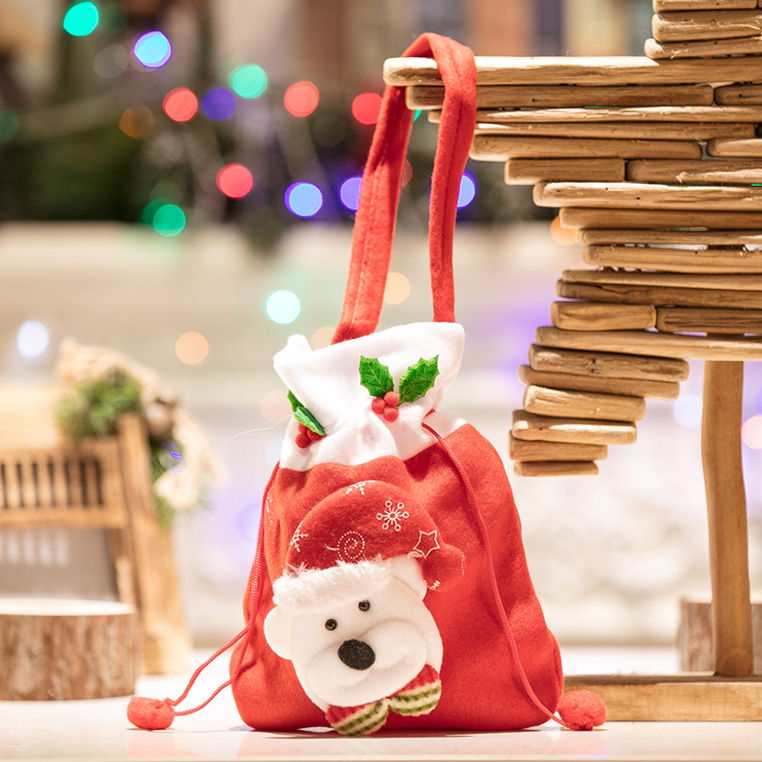 Christmas Gift Bag