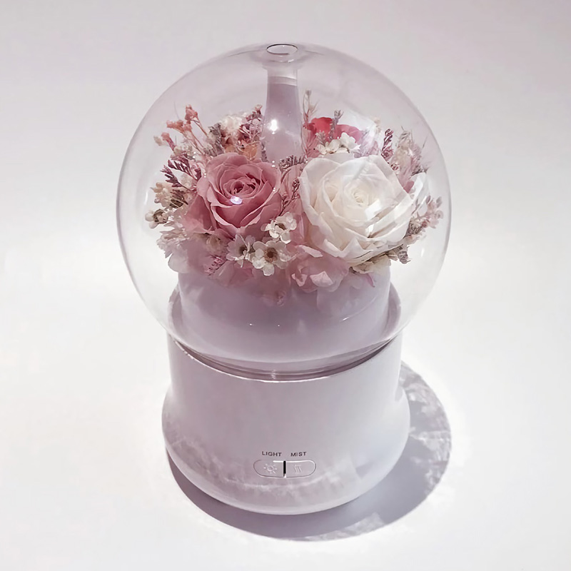 Graduation Gift Eternal Flower Humidifier